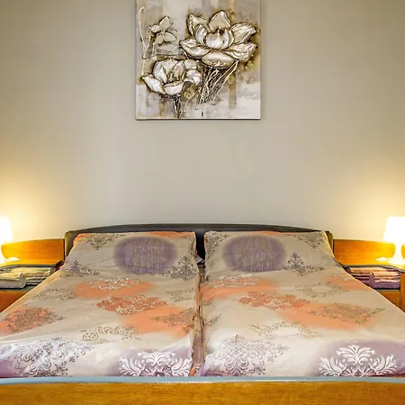 Apartment Popa